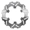 Brake Disc Rear 18-0055