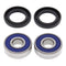 All Balls Racing Wheel Bearing Kit (25-1025)