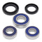 All Balls Racing Wheel Bearing Kit (25-1082)