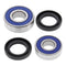 All Balls Racing Wheel Bearing Kit (25-1217)