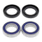 All Balls Racing Wheel Bearing Kit (25-1396)
