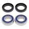 All Balls Racing Wheel Bearing Kit (25-1403)