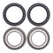 All Balls Racing Wheel Bearing Kit (25-1432)