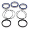 All Balls Racing Wheel Bearing Kit (25-1479)