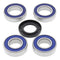All Balls Racing Wheel Bearing Kit (25-1533)