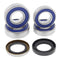 All Balls Racing Wheel Bearing Kit (25-1673)