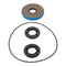 Differential Seal Only Kit Rear 25-2140-5