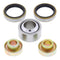 SHOCK BEARING AND SEAL KIT 29-1024