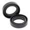 Fork Seals Pair 27x39x10.5 55-101