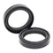 Fork Seals Pair 41x54x11 55-119