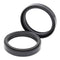 Fork Seals Pair 48x58x9.5 55-131