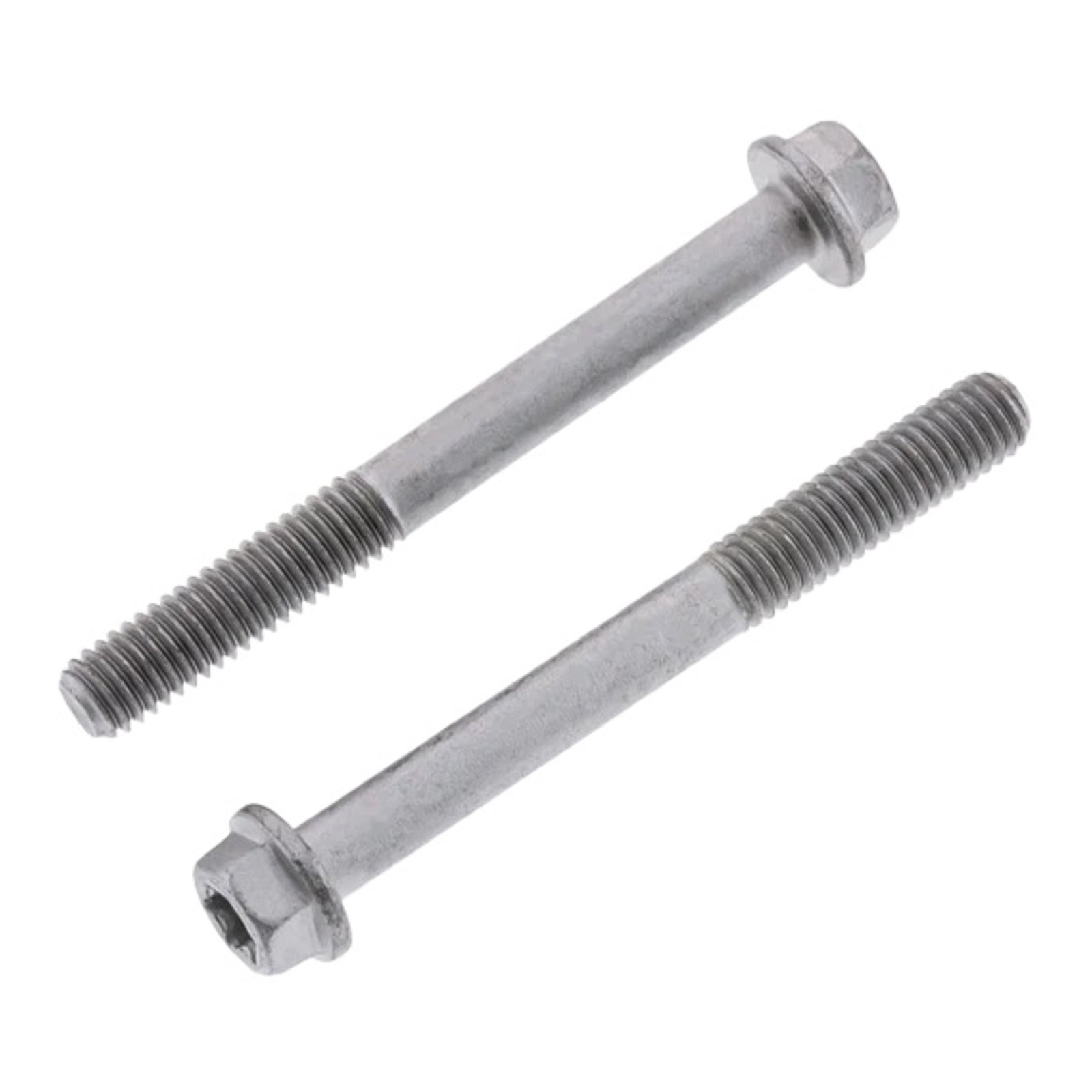 Bolt Euro Bolt 8mm 6x55mm (Packet of 10) Refill