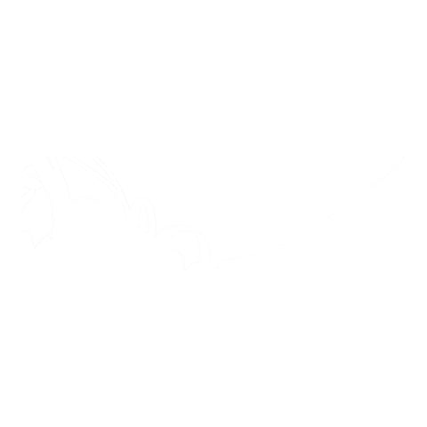 Zeta Clutch Reservoir Cover Honda CRF450R '21-, Kawasaki KX450 '19-