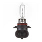 Whites Bulbs 12V 60W H/L HB3 Plastic Base Halogen (ea)