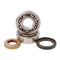 Main Bearing and Seal Kit