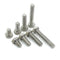 Whites Bolt - 6 x 100mm (50 Pack)