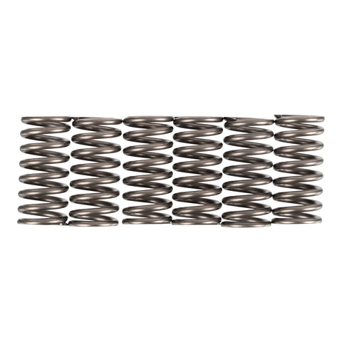 Premier Clutch Springs - Heavy Duty