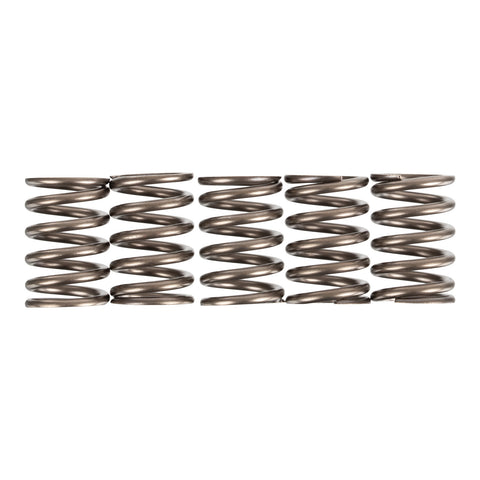 Premier Clutch Springs - Heavy Duty