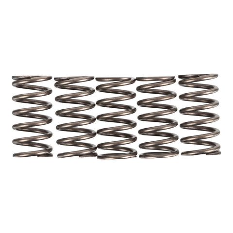 Premier Clutch Springs - Heavy Duty