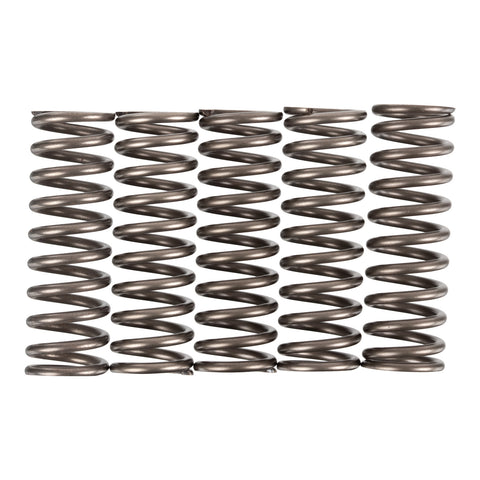 Premier Clutch Springs - Heavy Duty