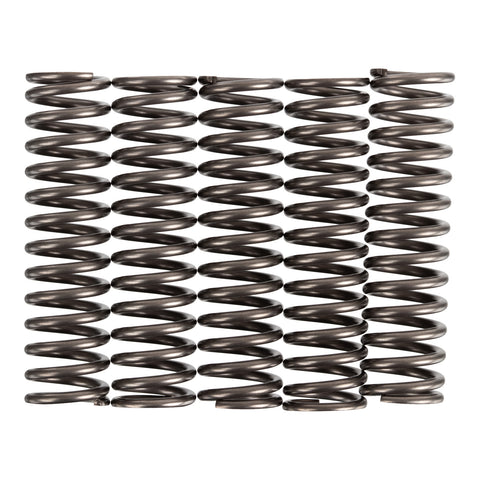 Premier Clutch Springs - Heavy Duty