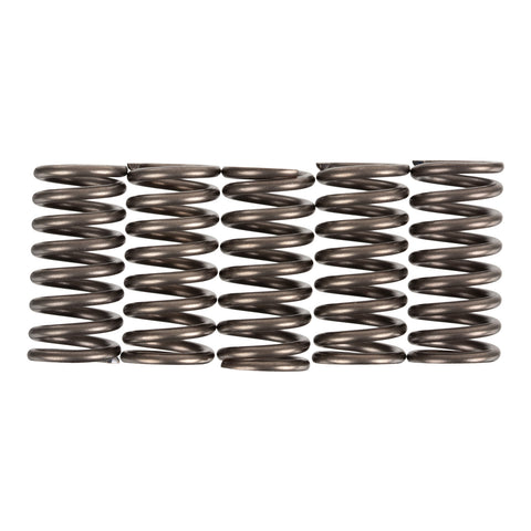 Premier Clutch Springs - Heavy Duty