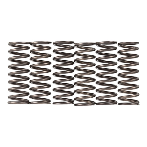 Premier Clutch Springs - Heavy Duty