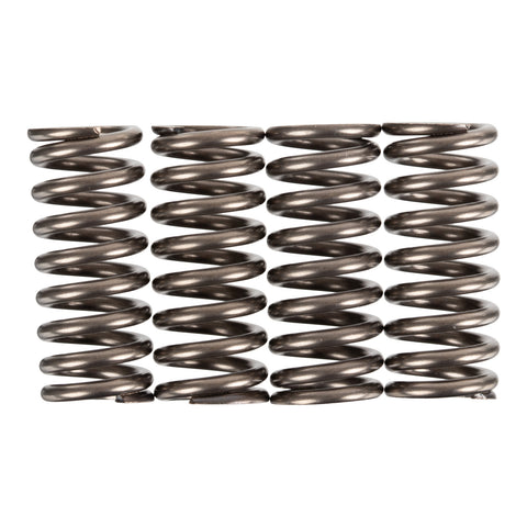 Premier Clutch Springs - Heavy Duty