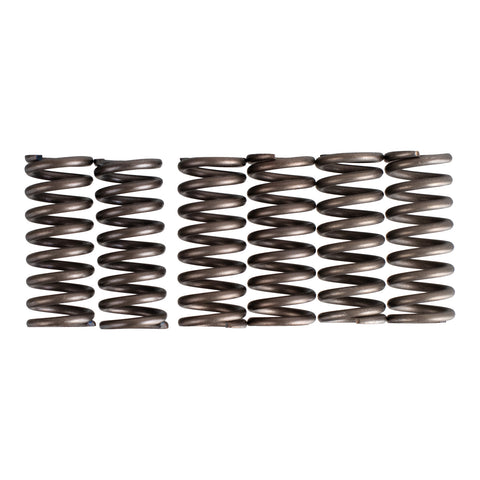 Premier Clutch Springs - Heavy Duty