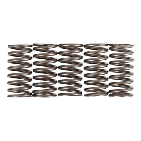 Premier Clutch Springs - Heavy Duty