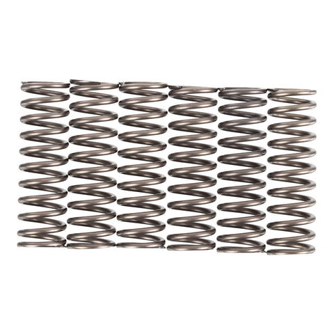 Premier Clutch Springs - Heavy Duty