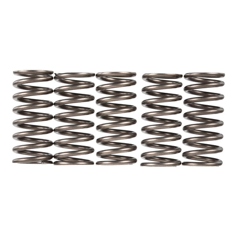 Premier Clutch Springs - Heavy Duty