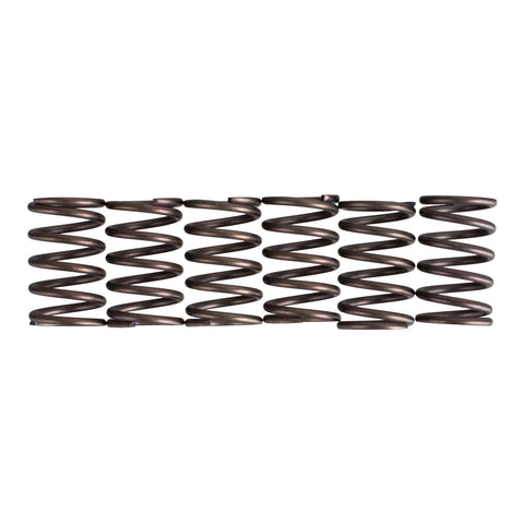 Premier Clutch Springs - Heavy Duty