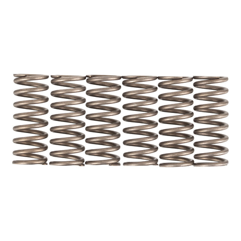 Premier Clutch Springs - Heavy Duty