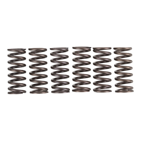 Premier Clutch Springs - Heavy Duty
