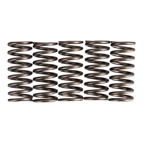Premier Clutch Springs - Heavy Duty