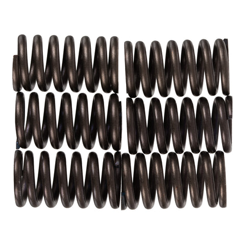Premier Clutch Springs - Heavy Duty