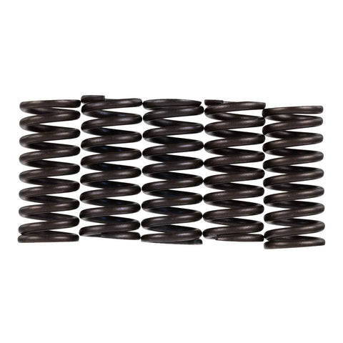 Premier Clutch Springs - Heavy Duty