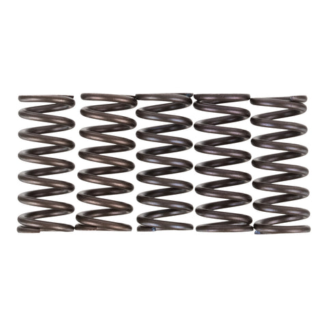 Premier Clutch Springs - Heavy Duty