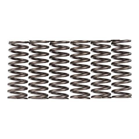 Premier Clutch Springs - Heavy Duty