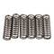Premier Clutch Springs - Heavy Duty