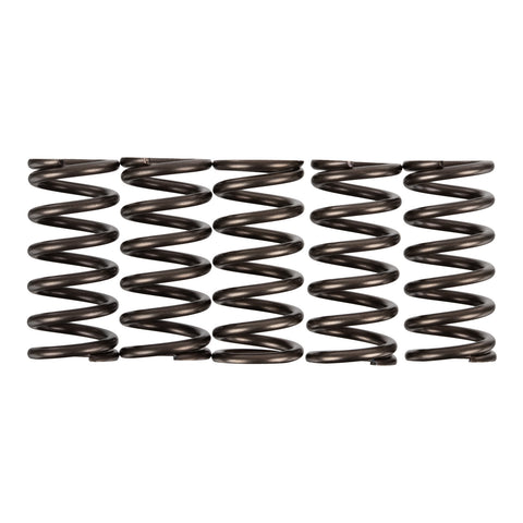 Premier Clutch Springs - Heavy Duty