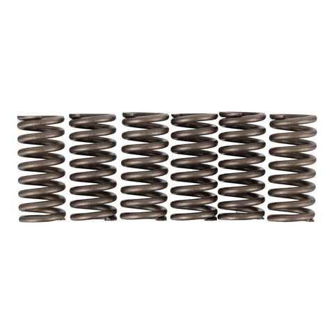 Premier Clutch Springs - Heavy Duty