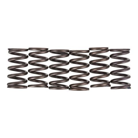 Premier Clutch Springs - Heavy Duty