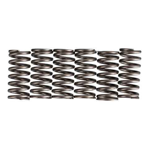 Premier Clutch Springs - Heavy Duty