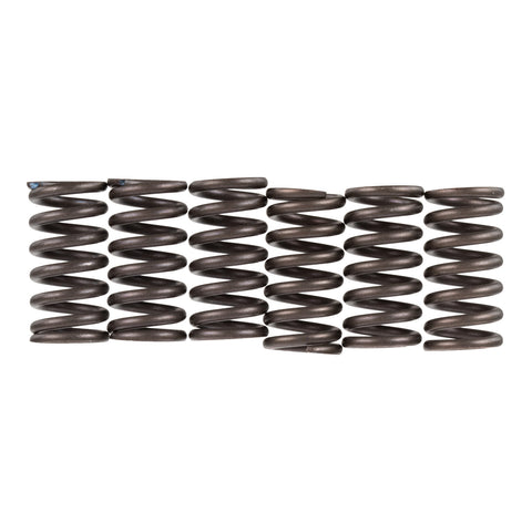 Premier Clutch Springs - Heavy Duty