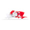 Polisport Kit CRF50F '04-'18 - Red