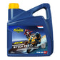 Putoline N-Tech Pro R+ Engine Oil - 10W60
