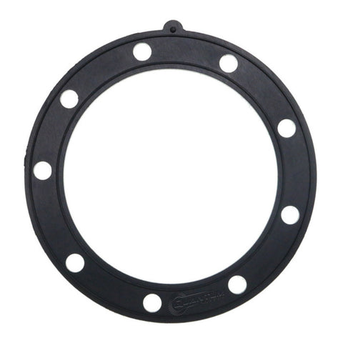 Quantum Fuel Pump Seal Gasket