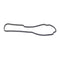 Quantum Fuel Pump Seal Gasket